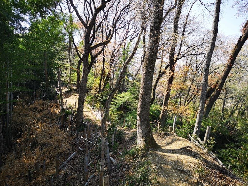 🌸 하치오지야마 공원 (오타시 호쿠부 운동 공원) 이미지 8